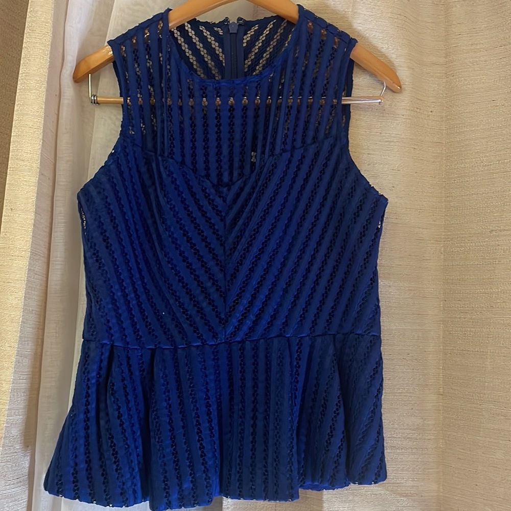 Chic Peplum Royal Blue Top